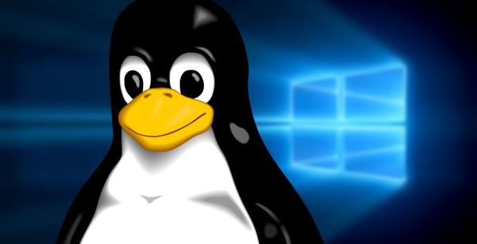 Análisis dinámico de malware win32 en Linux