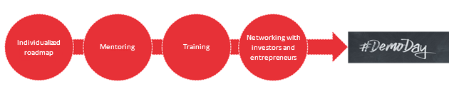 Incibe Ventures Process